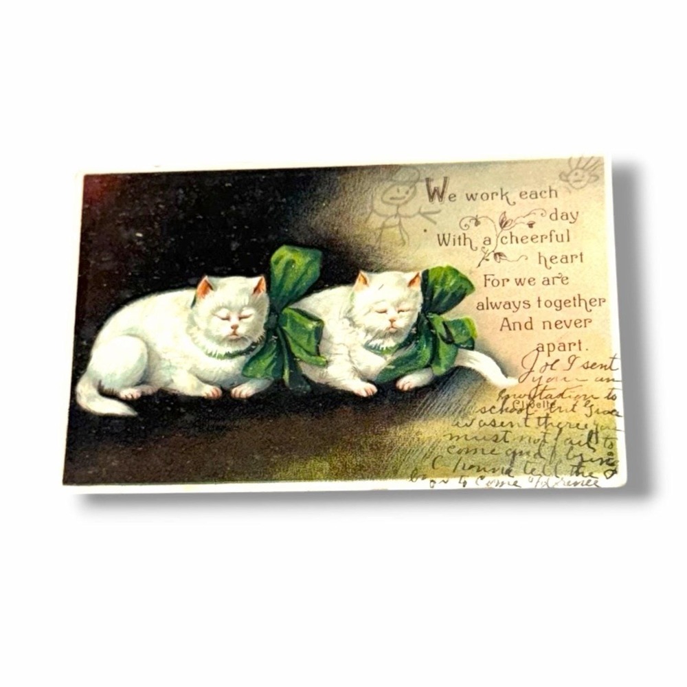 Postcard Two White Cats Green Bows Poem c1908 Divided Back Card B177